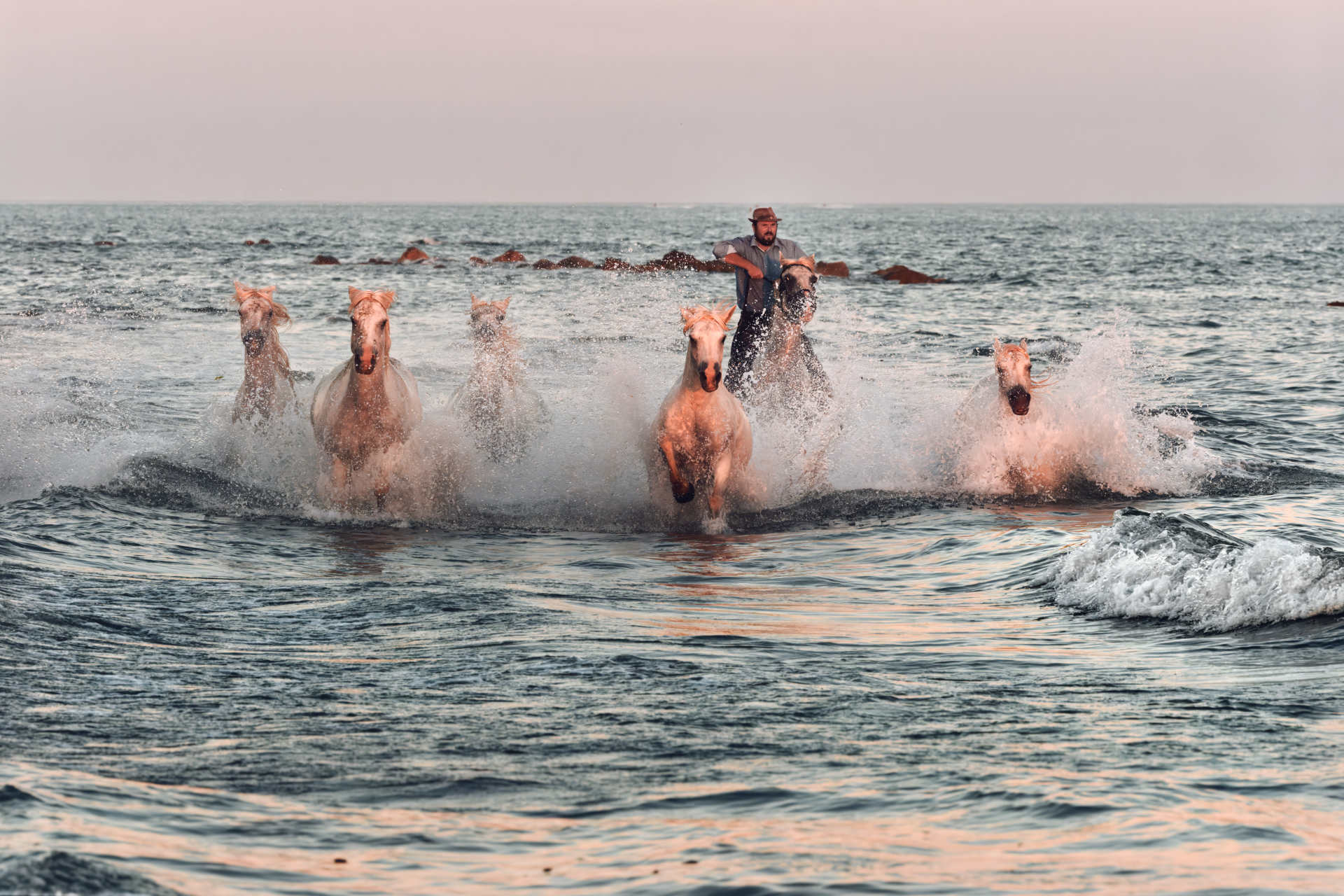 Gardian & chevaux a la plage